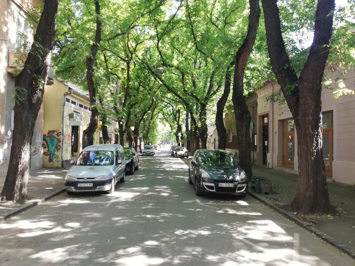 Apartman Park Subotica Zewnętrze zdjęcie